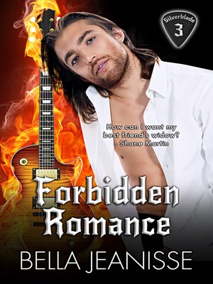 cover image of Forbidden Romance